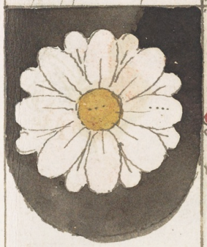 VirgilRaber 1548Arlberg-daisy.png