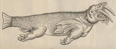 File:Walrus-Gesner-1560.jpg