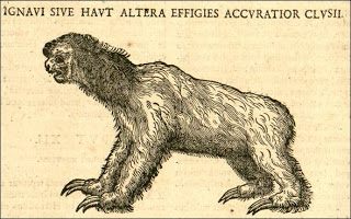 File:ExoticorumLibriDecem-sloth 1605.jpg
